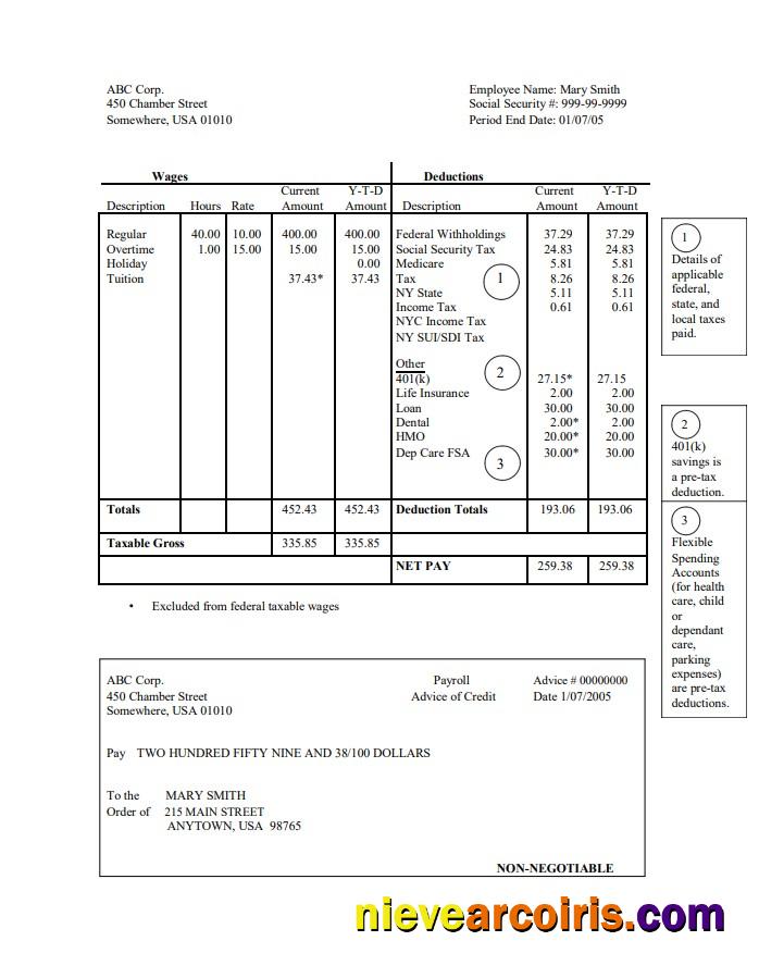corporation pay stub